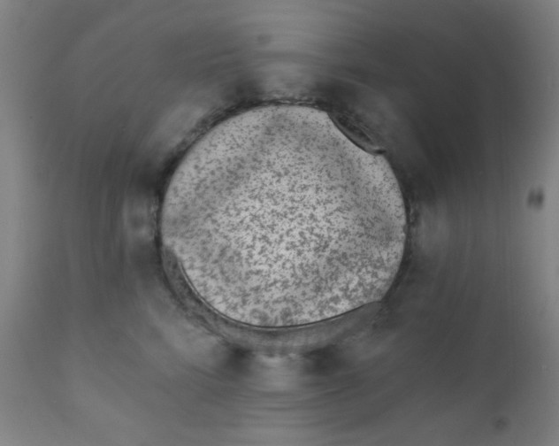 X0000110720712200907022046