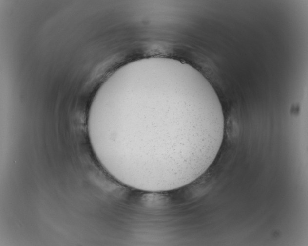 X0000110720714200907022046