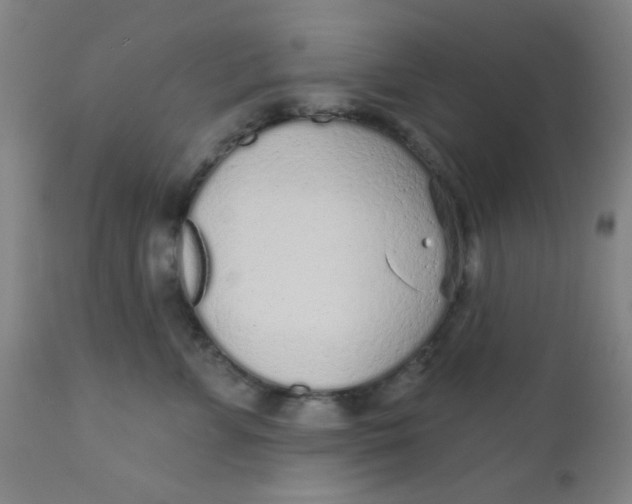 X0000110720715200907022046