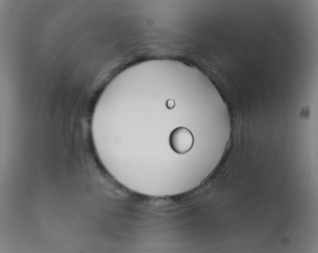 X0000110720716200907022046