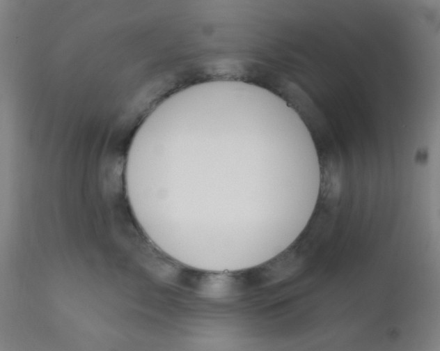 X0000110720717200907022046