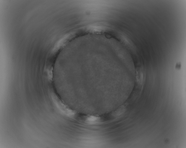 X0000110720718200907022046