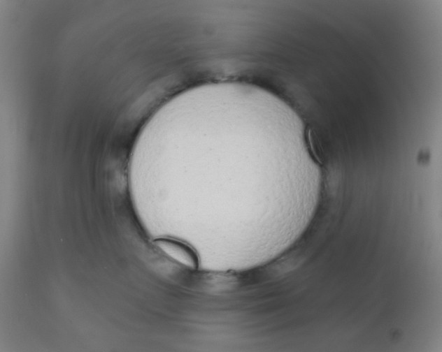 X0000110720719200907022046