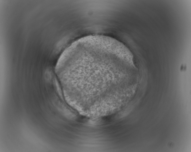 X0000110720720200907022046