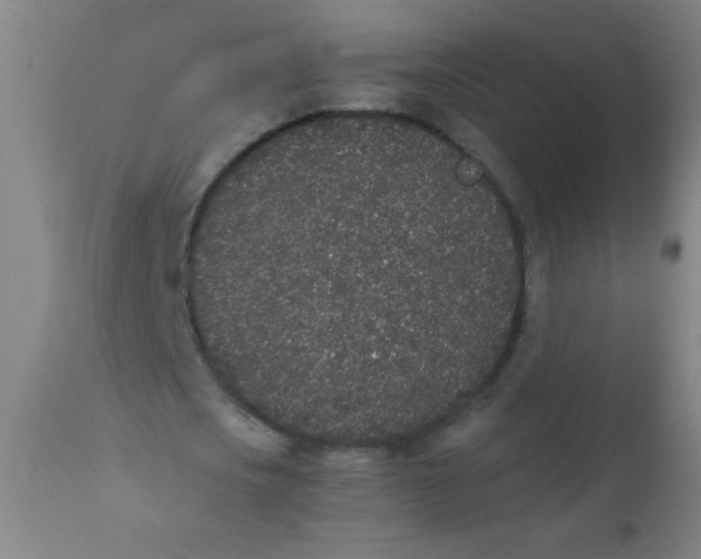 X0000110720721200907022045