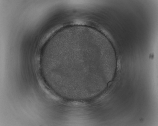 X0000110720722200907022045