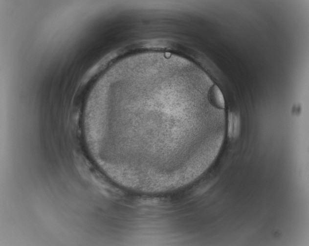 X0000110720723200907022045