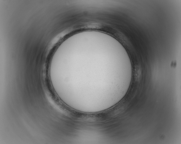 X0000110720726200907022045