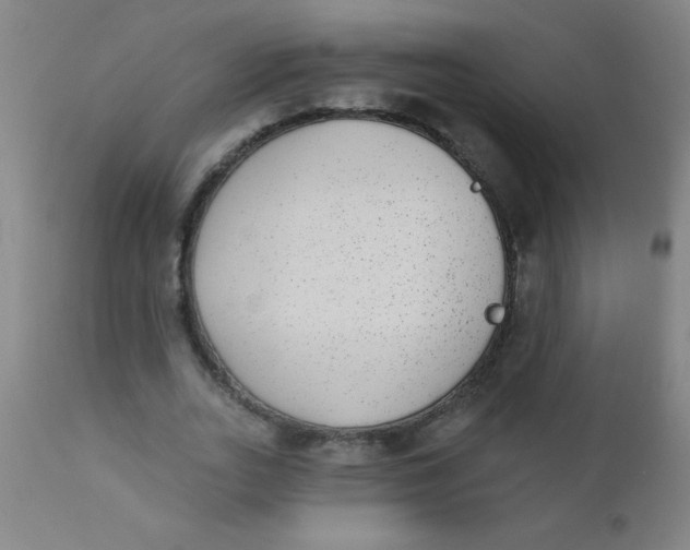 X0000110720727200907022045