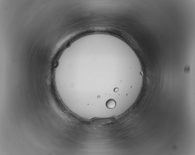 X0000110720728200907022045