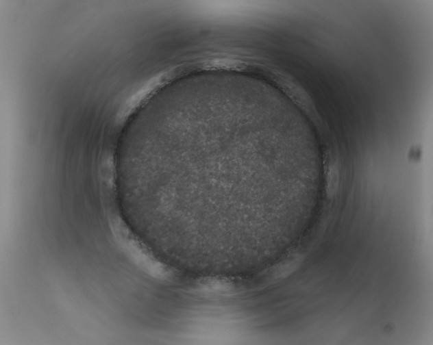 X0000110720729200907022045