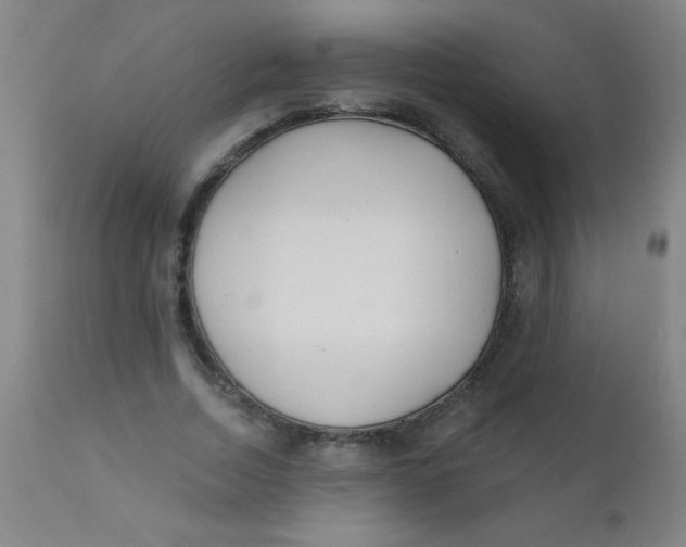 X0000110720730200907022045