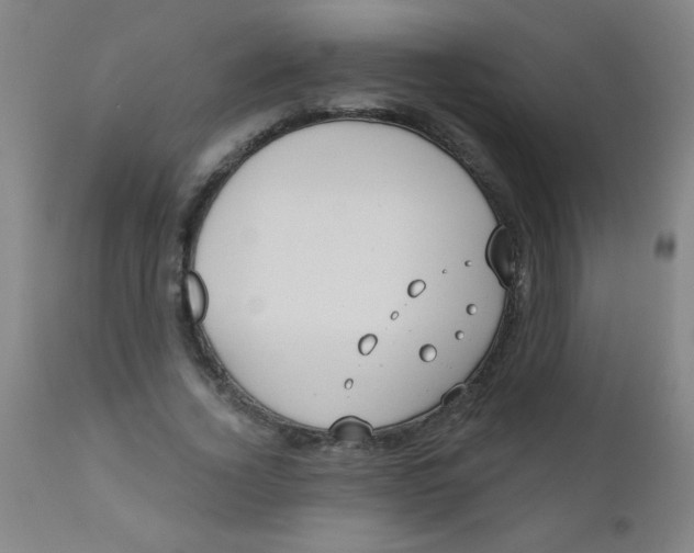 X0000110720732200907022045