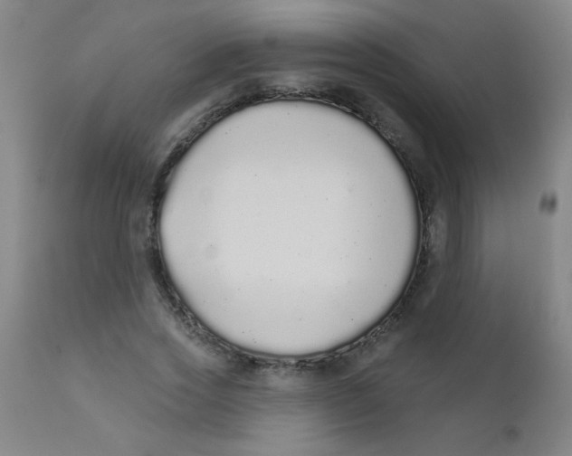 X0000110720733200907022045