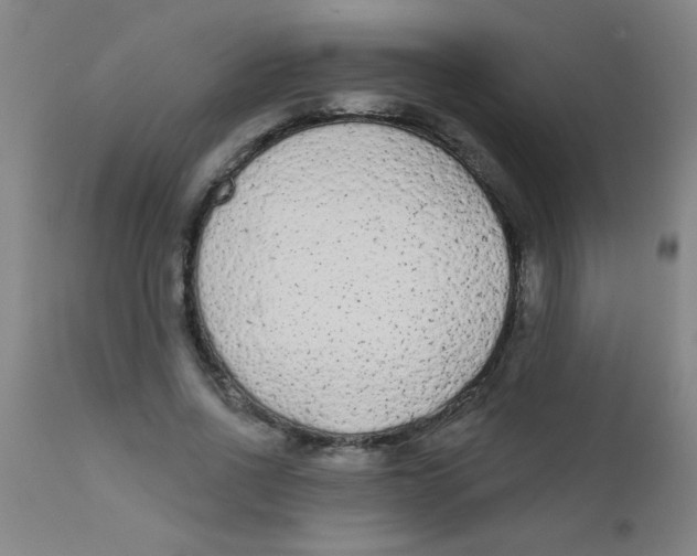 X0000110720734200907022045