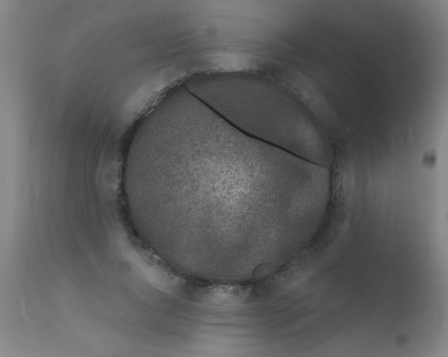 X0000110720736200907022045