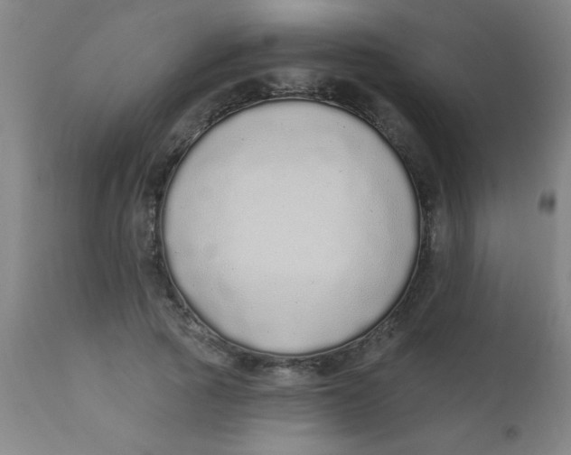 X0000110720737200907022045