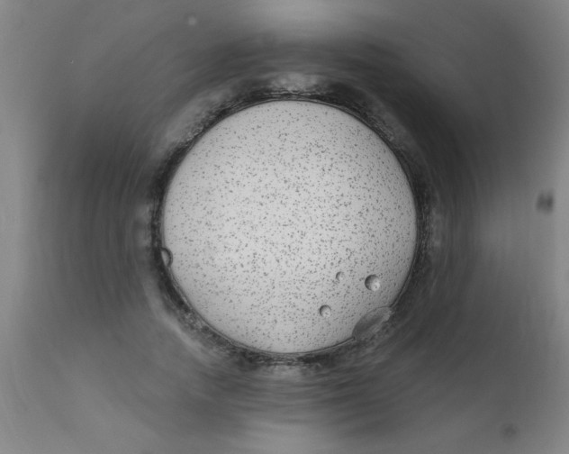 X0000110720738200907022045