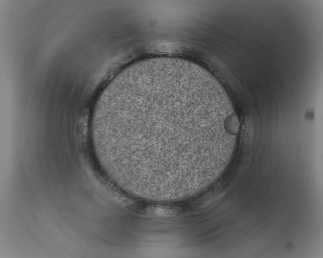 X0000110720739200907022046