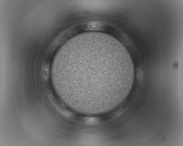 X0000110720741200907022046