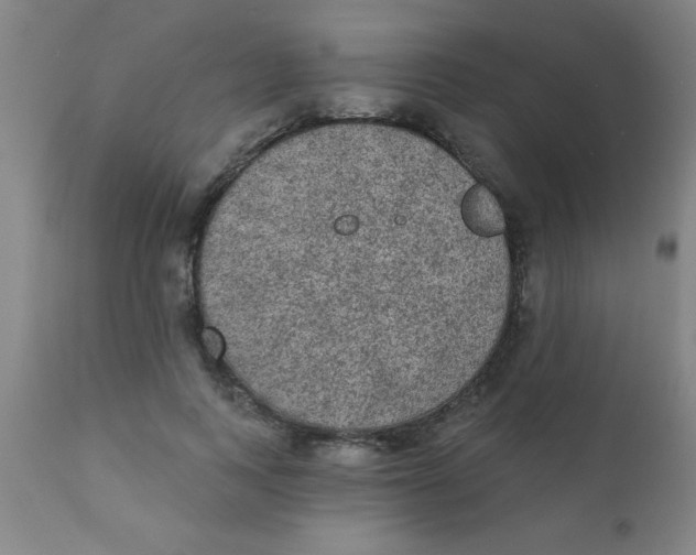 X0000110720743200907022046