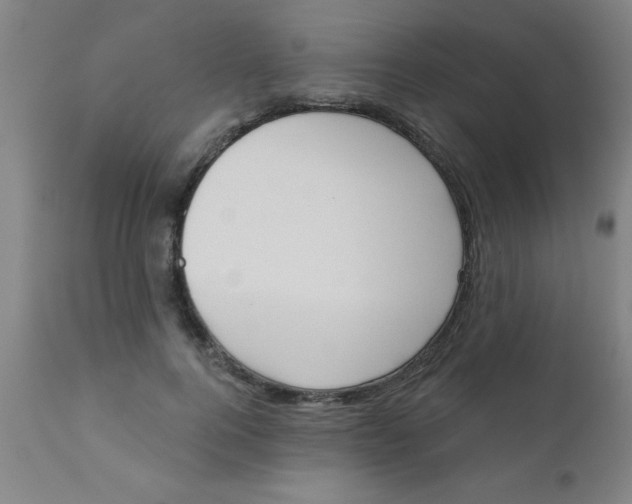 X0000110720744200907022046