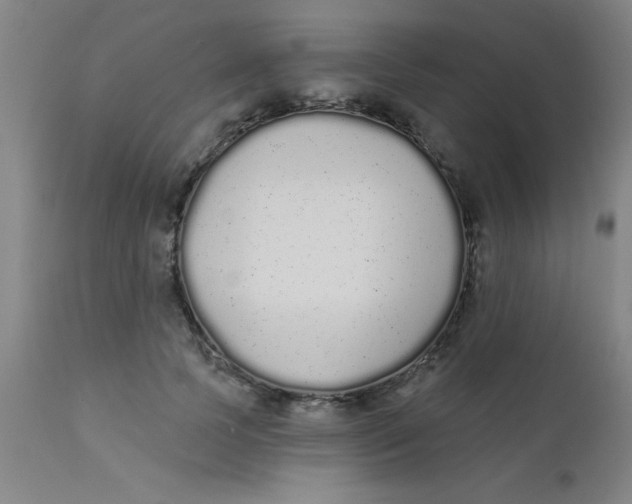 X0000110720745200907022046