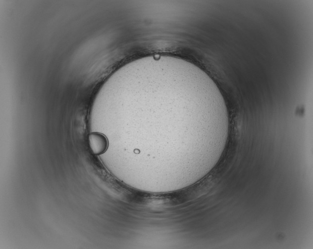 X0000110720746200907022046