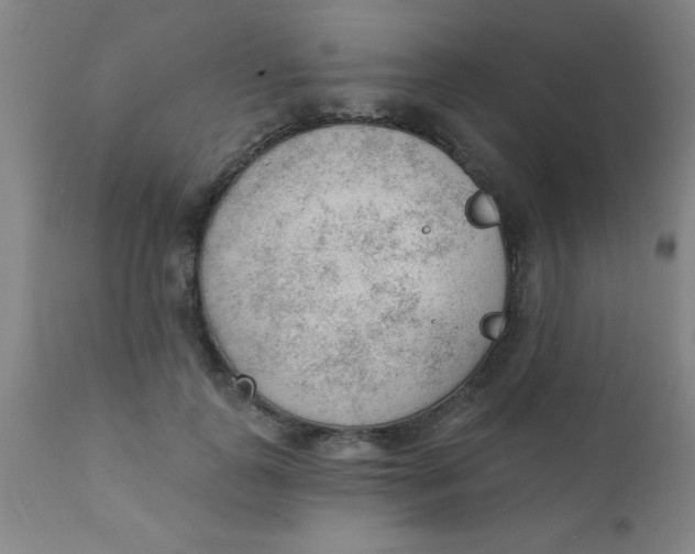 X0000110720747200907022046