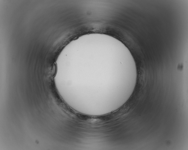 X0000110720748200907022046