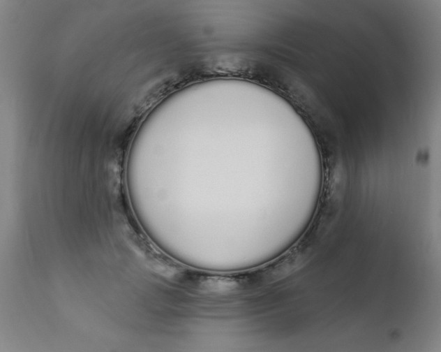 X0000110720749200907022046