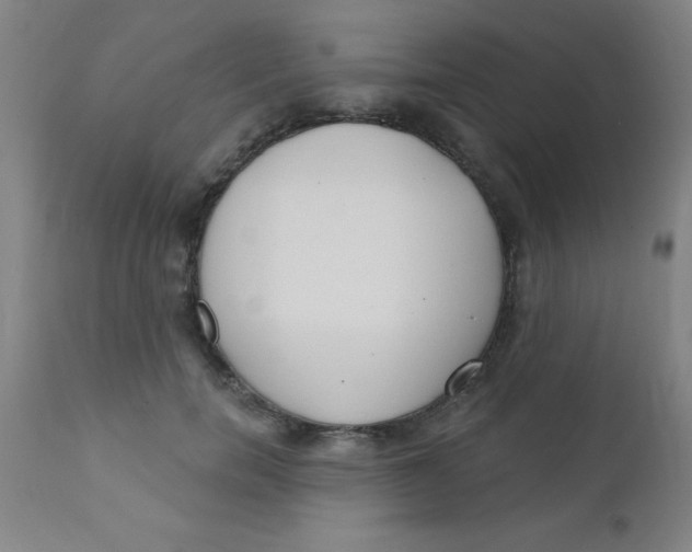 X0000110720750200907022046