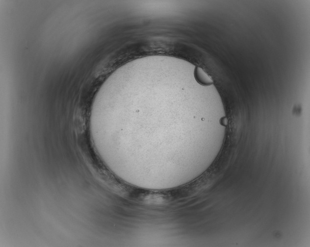 X0000110720751200907022046