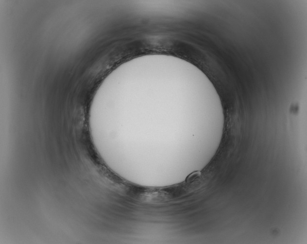 X0000110720752200907022046