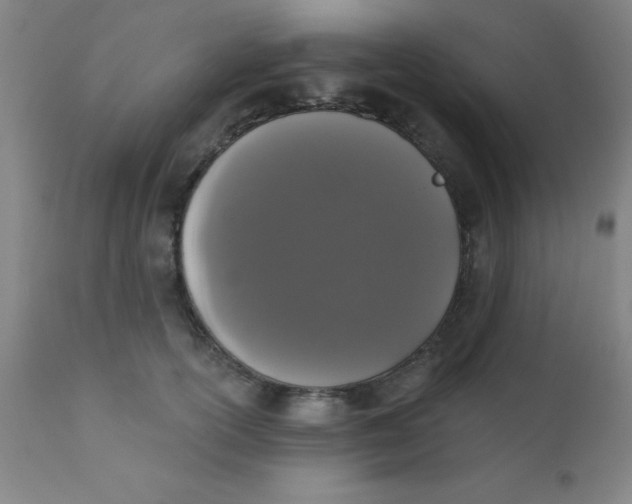 X0000110720754200907022046