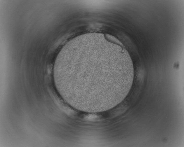 X0000110720759200907022046