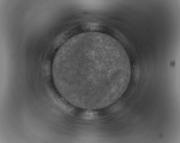 X0000110720760200907022046