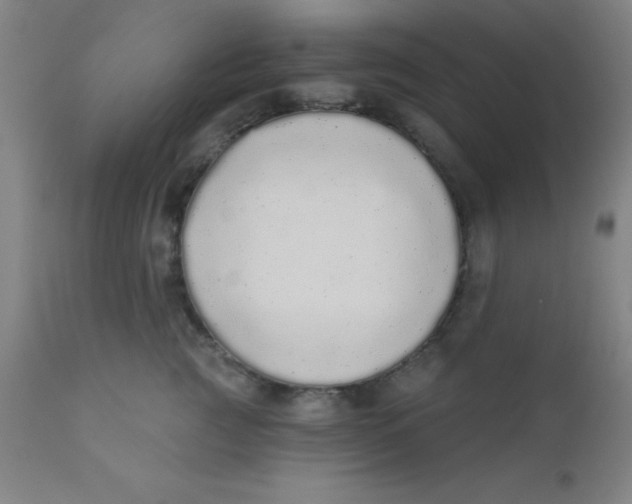 X0000110720761200907022046