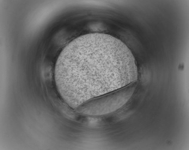 X0000110720762200907022046