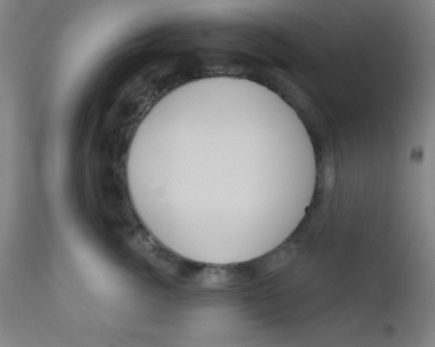 X0000110720764200907022046