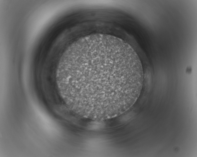 X0000110720765200907022046