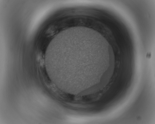 X0000110720766200907022046