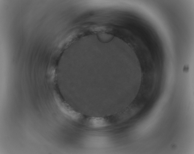 X0000110720767200907022046