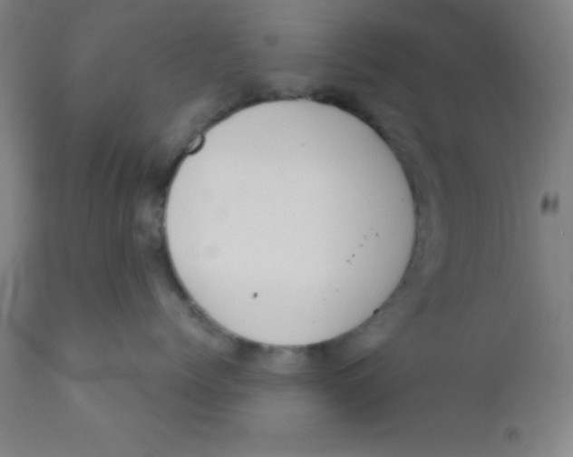 X0000110720768200907022046