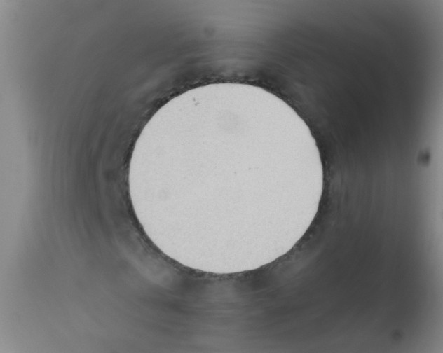 X0000110720769200907022045