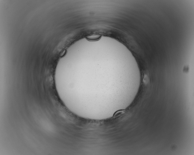 X0000110720771200907022045