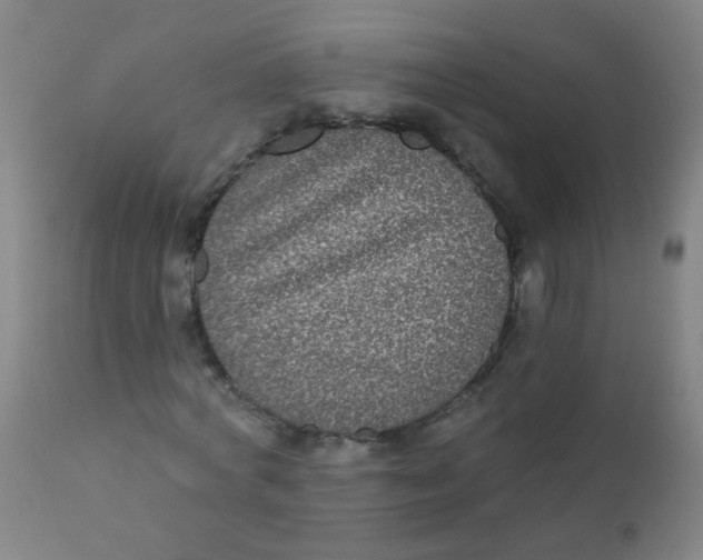 X0000110720772200907022045