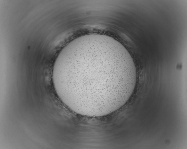 X0000110720774200907022045