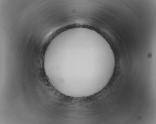 X0000110720776200907022045