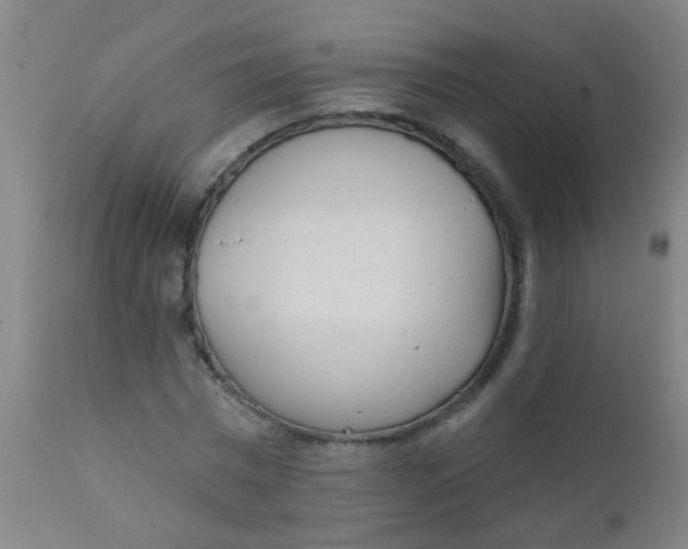 X0000110720777200907022045